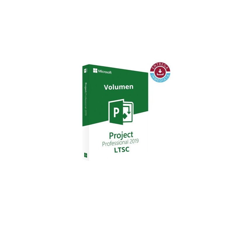 Project Professional 2019 LTSC