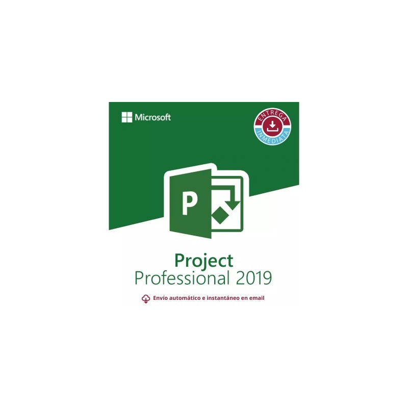 Project Professional 2019 para 1 PC