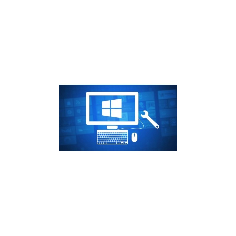 Servicio de optimización y limpieza de Pcs