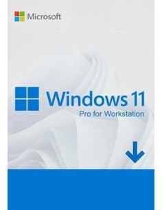 Windows 11 Pro for Workstation