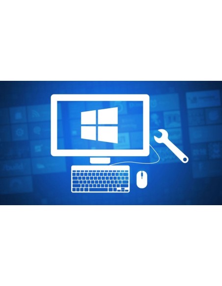 Servicio de optimización y limpieza de Pcs