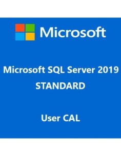 Microsoft SQL Server 2019 Standard User CAL 2