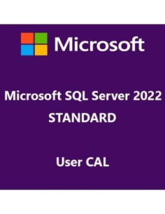 Microsoft SQL Server 2022 Standard User CAL 2