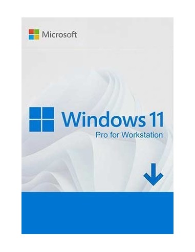 Windows 11 Pro for Workstation