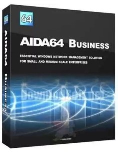 AIDA64 Business - 1 PC - Licencia de por vida 2