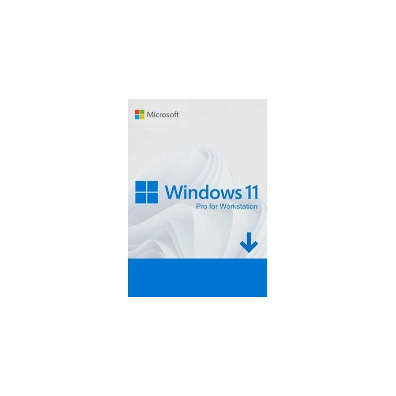 Windows 11 Pro for Workstation