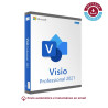 Visio Professional 2021 para 1 PC