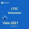 Visio Professional 2021 LTSC
