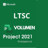 Project Professional 2021 LTSC
