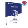 Visio Professional 2019 LTSC