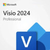 Visio Professional 2024 (compatible con Office 365)