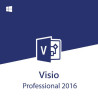 Visio Professional 2016 para 1 Pc