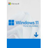 Windows 11 Pro for Workstation